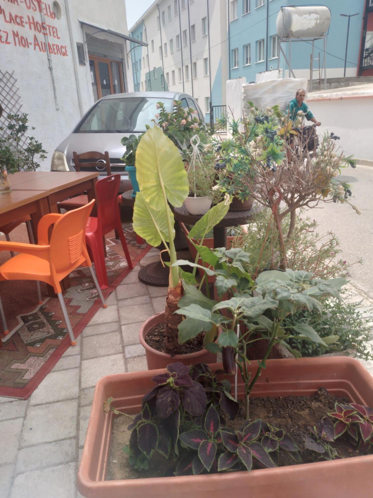 Casa Mia Pansiyon Avlonya Dış mekan fotoğraf