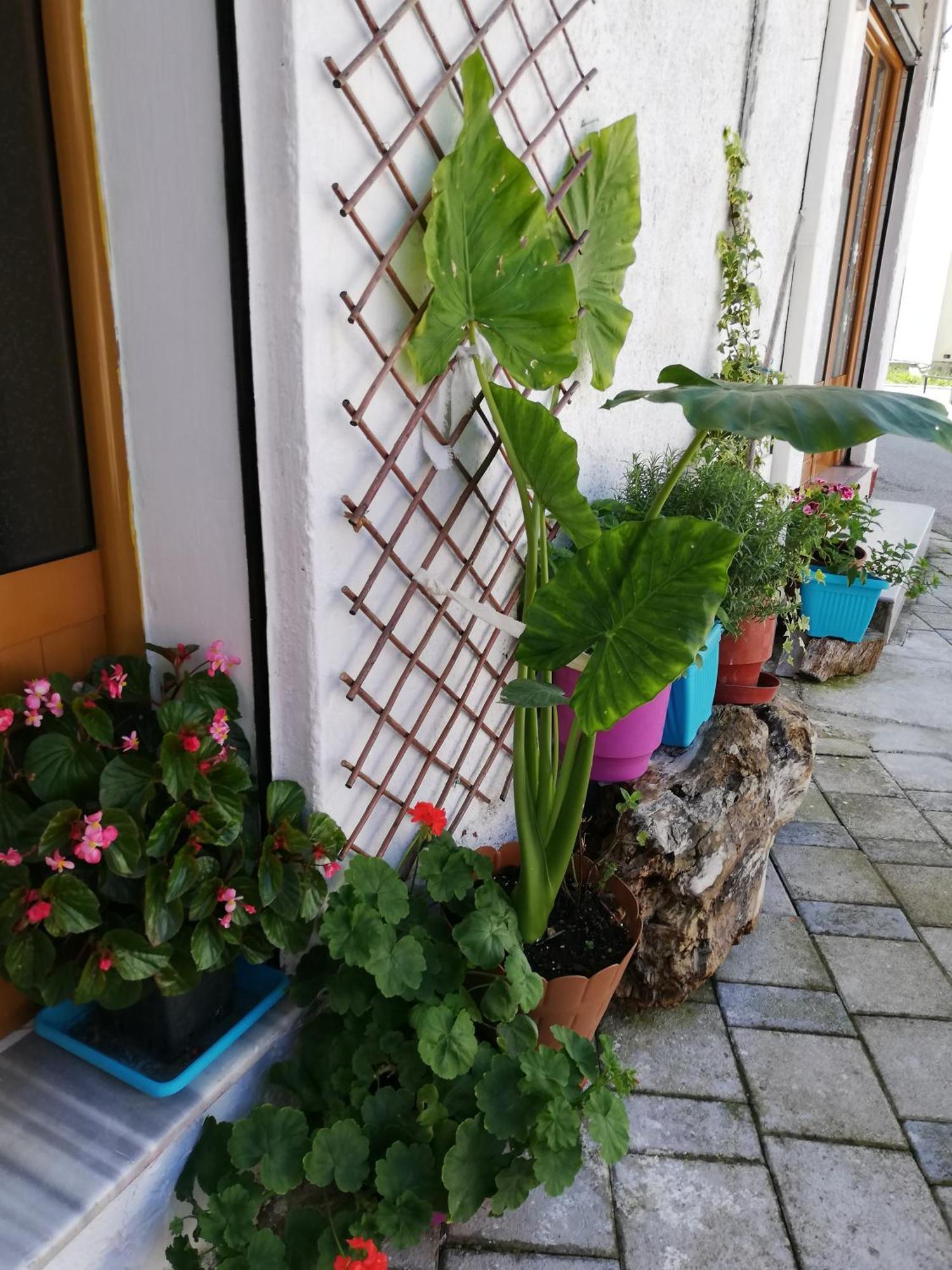 Casa Mia Pansiyon Avlonya Dış mekan fotoğraf